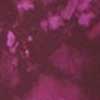NUIT DE PRINT/DAZZ P
