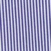 BLUE STRIPE