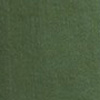 CACTUS GREEN