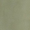 OIL GREEN COATED