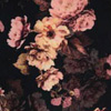 MIDNGHT/MOSCHATA ROS