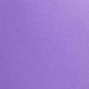 ORCHID COATED