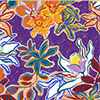 MULTICOLOR VIOLA