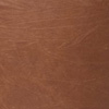 DARK ARGAN
