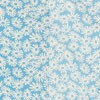 BLUE DAISY