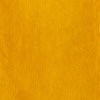 WORN IN MUSTARD